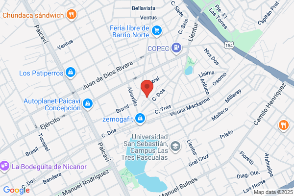 Pesajes Concepción
