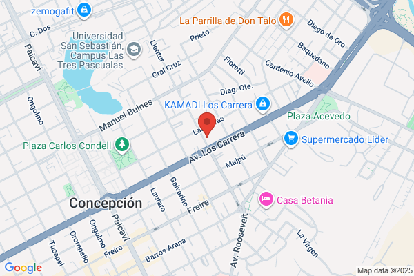 gruas para vehiculos concepción