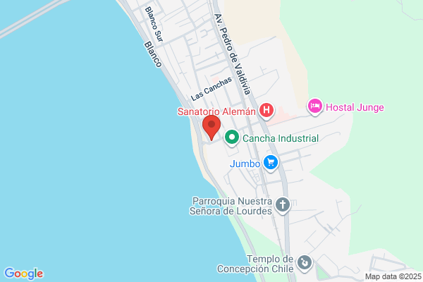 Pereira Abrigo, Mario Alejandro