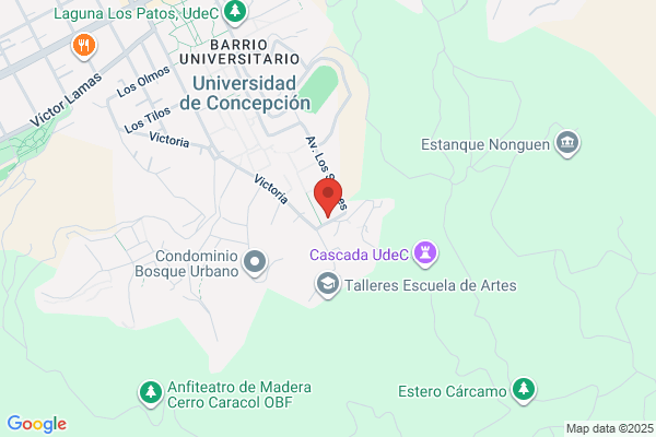 Obreque Quezada, Dagoberto