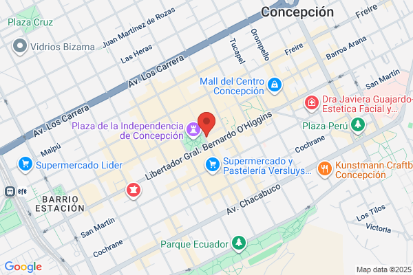 Gobernación Provincial De Concepción