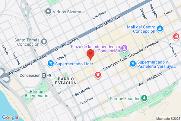 Instituto De Promoción Social