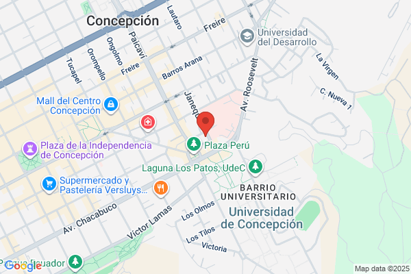 Instituto De Diagnóstico Y Terapia Médicina Ltda.
