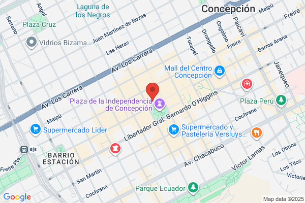 Viajes Concepción S.a.