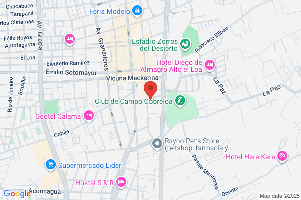 Servicios Undangarin