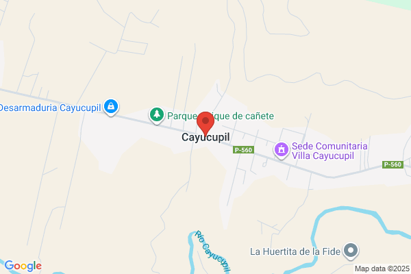 Forestal Canihual Y Cayucupil