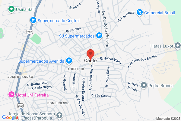 Libreria Petete