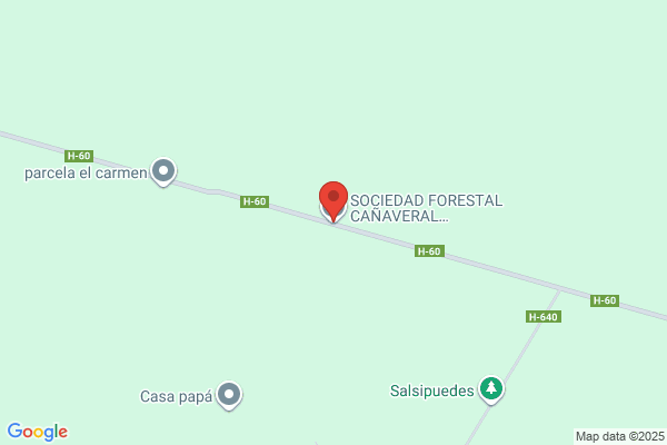 Sociedad Forestal Huenteli Ltda.