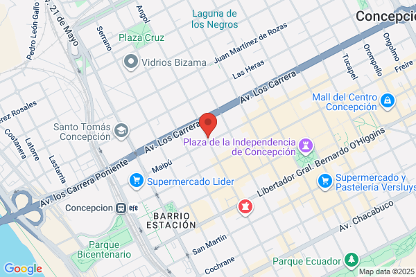 Instituto Diego Portales