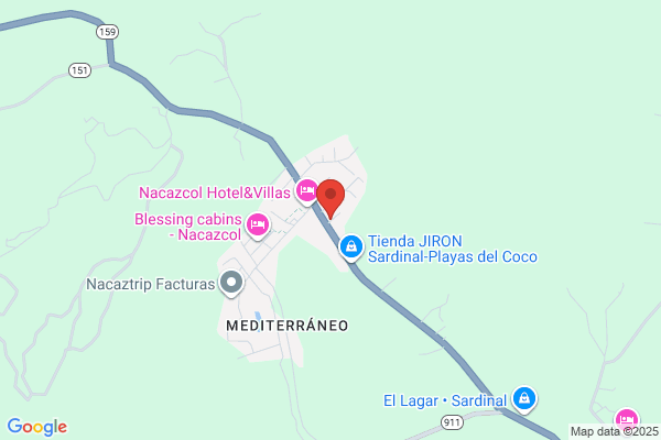 Pizarro A. Y Cía. Ltda., Fernando