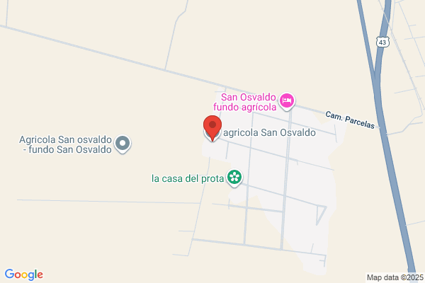 Agrícola El Kiwal San Ramón