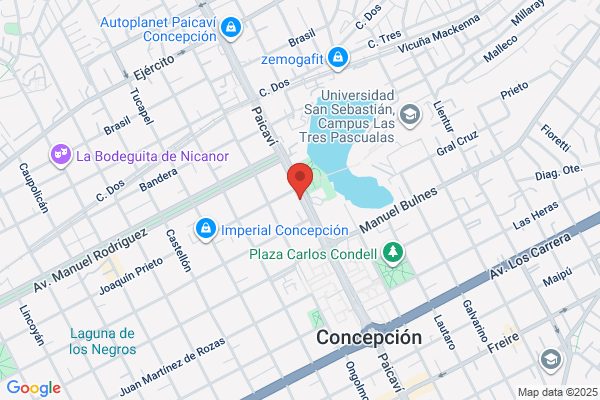Arriagada Torres, Dominga Del Carmen