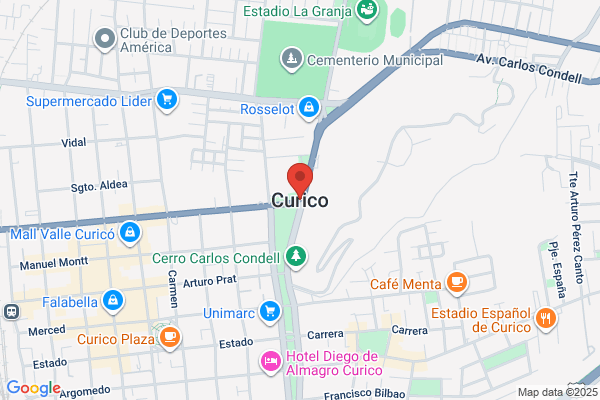 Municipalidad De Curicó