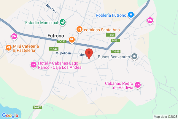 Consulta Médica Futrono