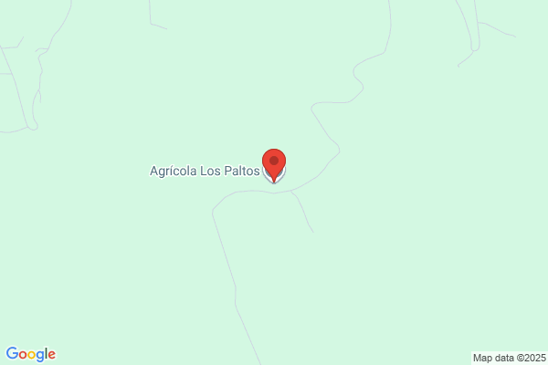 Agrícola Los Paltos Ltda.