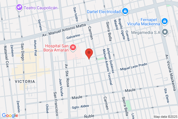 Rapa Nui Servicios Industriales Ltda.