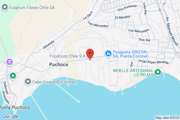 Foodcorp Chile S.a.