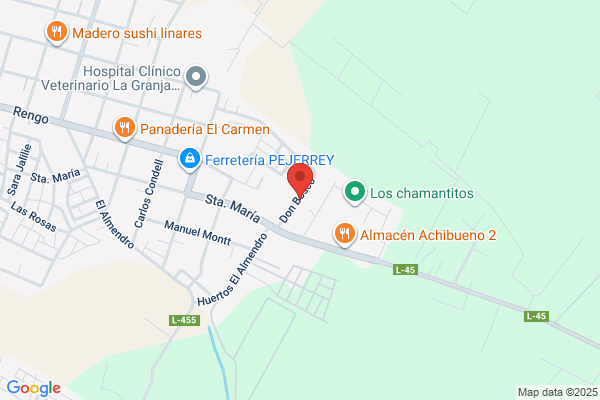 Maestranza Badilla