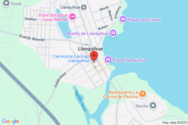 Cecinas Llanquihue
