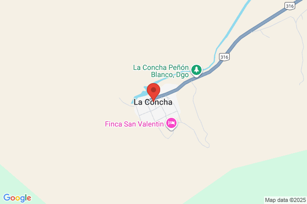 Concha Pinochet, Miguel