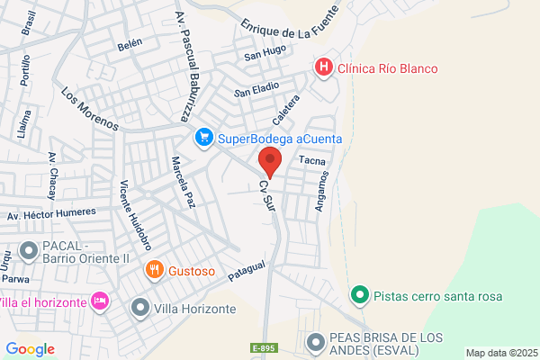 Vitivinícola Rey Del Valle