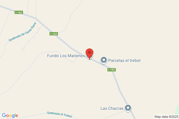Fundo Los Maitenes