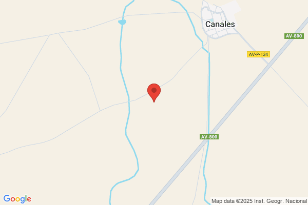 Canales Muñoz, Carlos