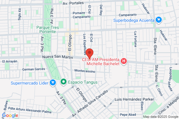 Paisajismo Cordillera S.a.