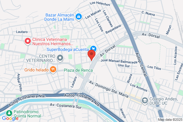 Radiotaxi Costanera