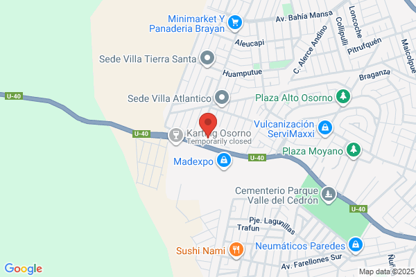 Cv Limpio