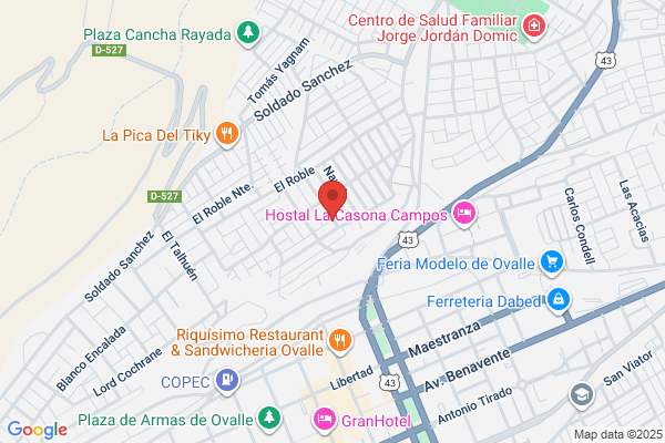 Ortomedica Ovalle
