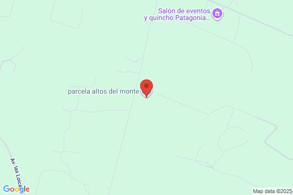 Monte Alto Forestal S.A.
