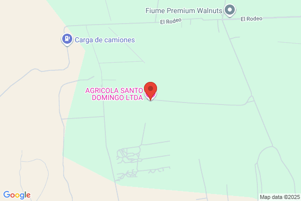 Agricola Santo Domingo Ltda.