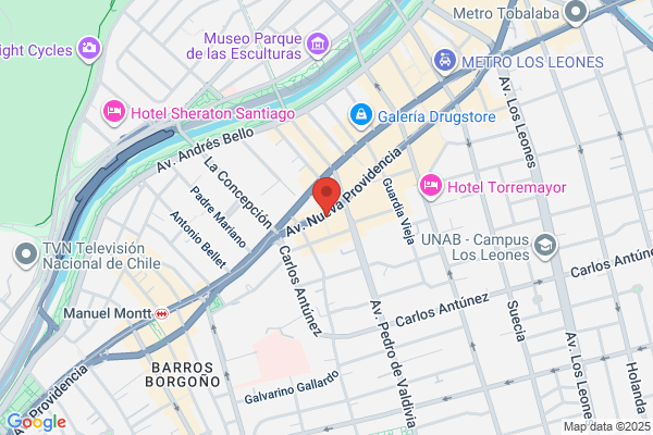 Instituto Cultural De Providencia