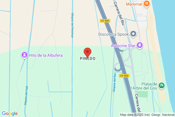 Pinedo