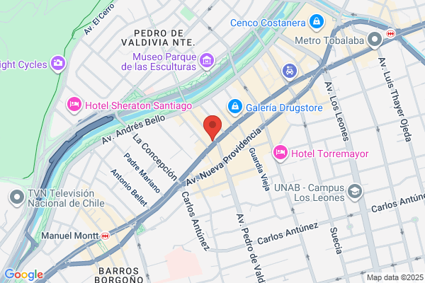 Verdugo Pizarro, Roberto