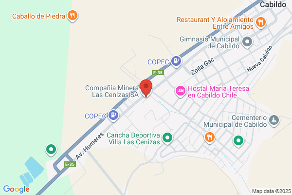 Minera Las Cenizas S.a.