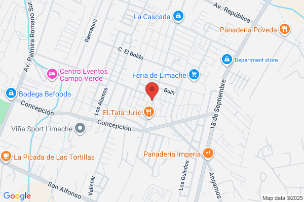 A. Y P. Technica Ltda.