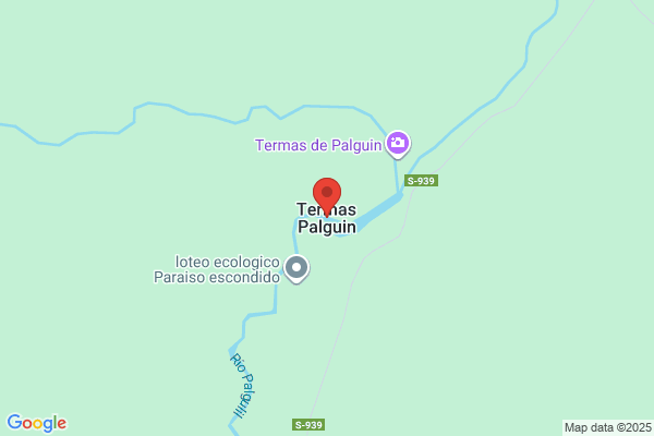 Termas De Palguin