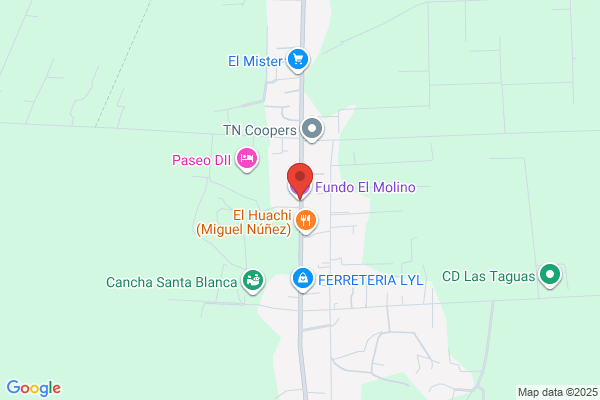 Fundo El Molino