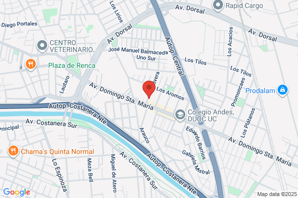 Loyola Y Cía. Ltda., Nelson