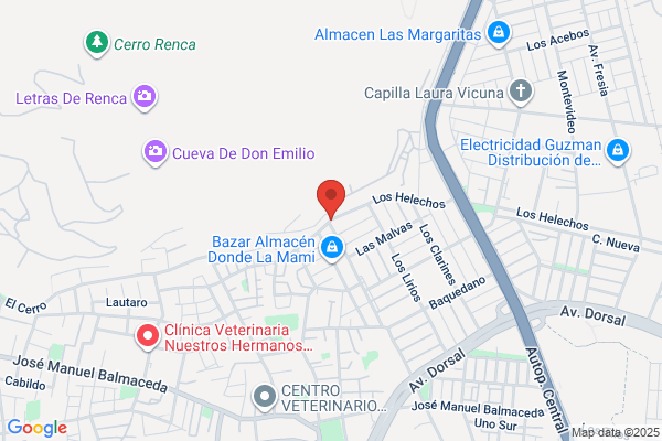 Transportes Cinco Ltda.