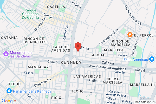 Genesis Seguridad Ltda.