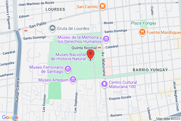 Larroulet Martínez, Rodolfo