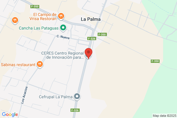 Cáceres Y Abeliuk Ltda.
