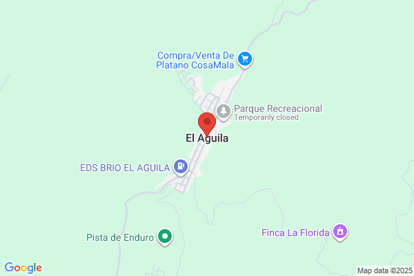 Aguila Y Cía., Andrea