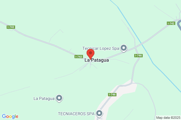 Patagua