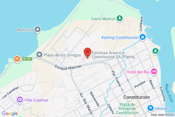 Celulosa Arauco Y Constitución S.a.