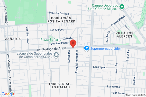 Red De Servicio Técnico Integral