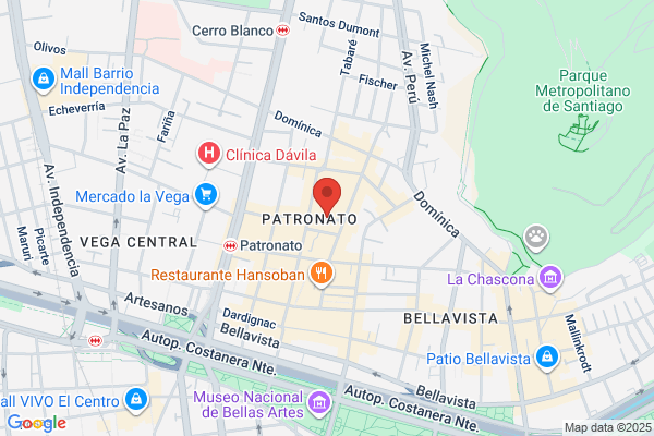 Textil Y Comercial Shinui Ltda.